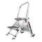 Little Giant Ladders Safety Step M2 2-Step 300-lb Capacity Silver Aluminum Foldable Step Stool