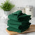 DII Green Cotton Dish Towels - Set of 4, 16 x 26 Inches, Absorbent and Durable Kitchen Cleaning Cloths