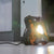 Southwire 10000-Lumen LED Battery-operated Rechargeable Portable Work Light