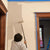 Valspar Walls, Ceilings and Trim+ 8-Piece Microfiber Paint Roller Kit