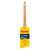 Purdy Clearcut 2-1/2-in Reusable Nylon- Polyester Blend Angle Paint Brush (General Purpose Brush)