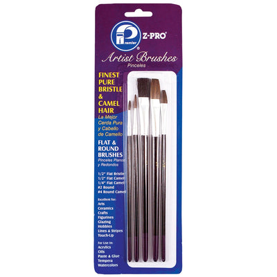 Premier 5-Pack Multiple Sizes Reusable Assorted Paint Brush (Art Brush)