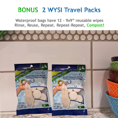 WYSI on the go 80-Pack Cellulose Cloth