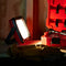 CRAFTSMAN 1000-Lumen LED Plug Portable Work Light