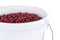 United Solutions 5-Gallon Food-grade Plastic General Bucket