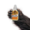 Gorilla White 2-fl oz Liquid Polyurethane Waterproof, Quick Dry, Multipurpose Adhesive